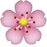 深化行業認知，共謀發展新篇——中煤蒙大公司特邀孫惠民授課經濟信息咨詢